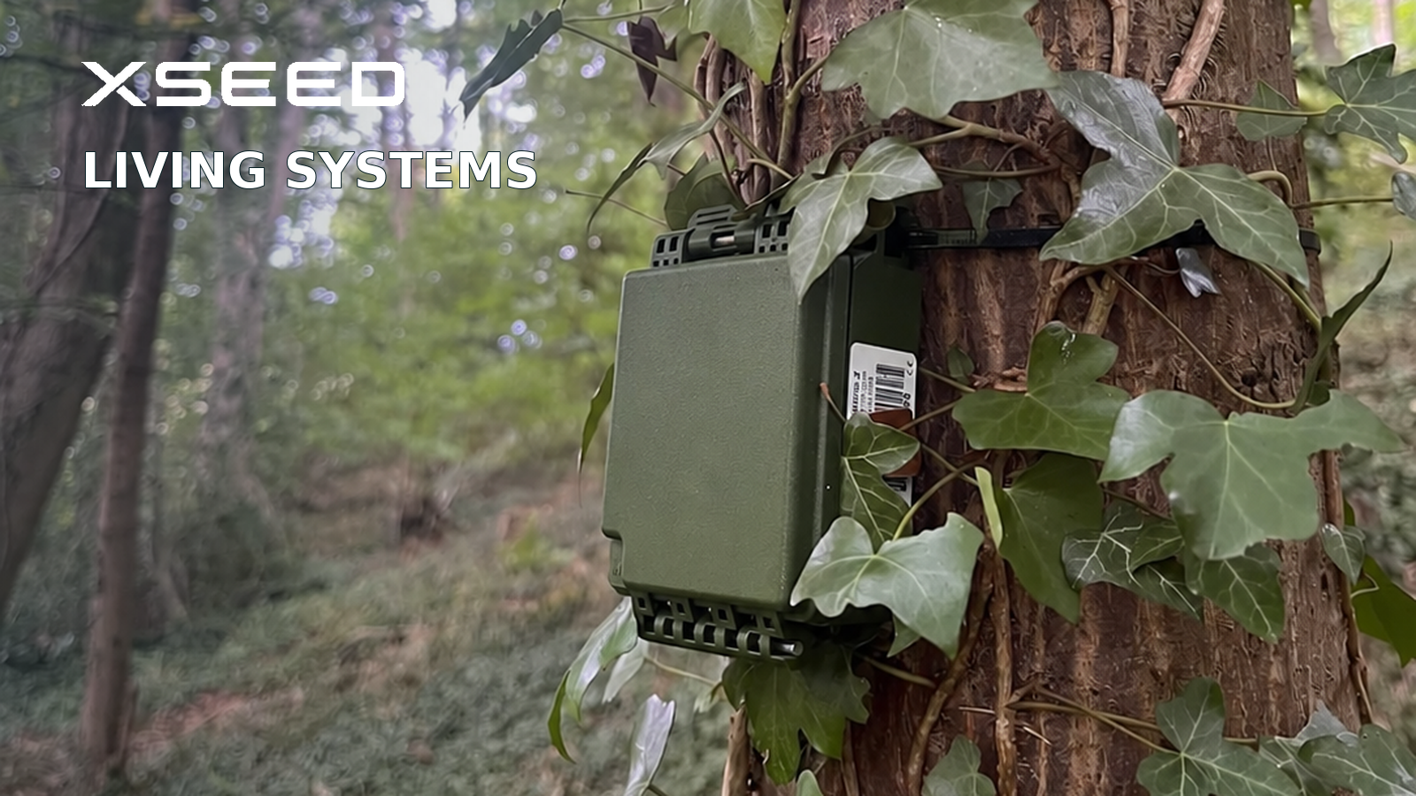 Acoustic wildlife monitor installed on a tree in a forest for biodiversity monitoring.